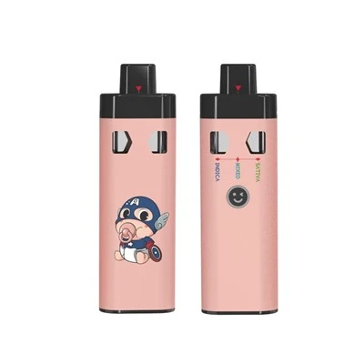 Förvärmningsfunktion 3 i 1 CBD Empty Vape